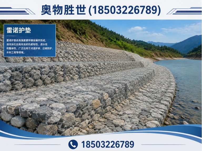 晋城雷诺护垫展示图